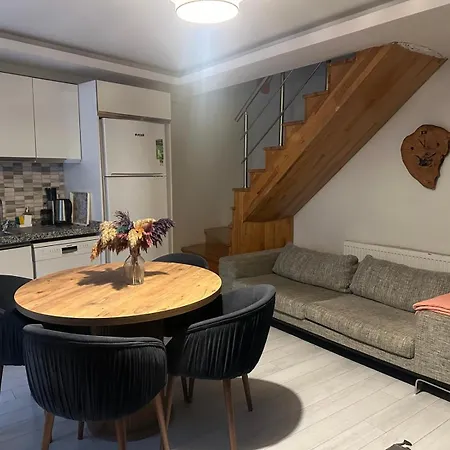 Modern Galata İstanbul